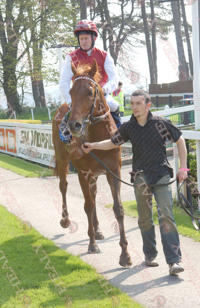 🐎 @LeopardstownRC  24-April-2005
#FromTheArchives #Memories #OnThisDay #HorseRacing  #19yearsold
'Concert Party'
O- Sheikh Mohammed
T- John Oxx
J- Mick Kinane
(c)healyracing.ie