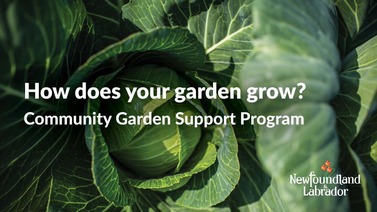 The 2024 Community Garden Support Program is now full for the season and applications will no longer be accepted. Thanks to everyone who applied! 🥕🥦🥬@MunicipalNL @NLSchoolsCA @CSCNL #GovNL