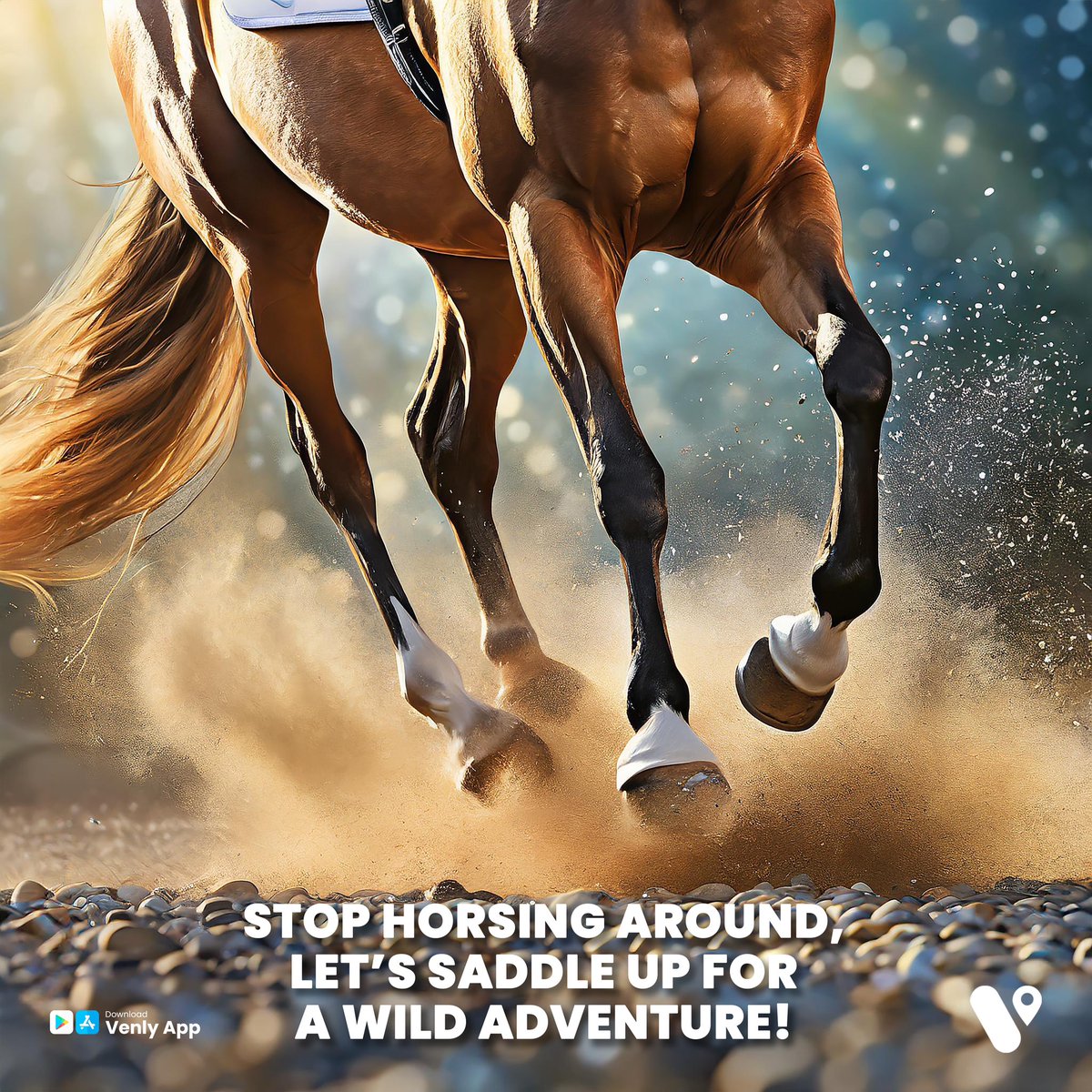 Venlyapp's tweet image. Venly's horses, explore the ground!
Book your next horseback riding adventure with Venly and reconnect with nature in a unique way.

 احجز رحلات فروسية مع ربعك، واستكشف الدروب المخفية مع فنلي!

حمّل فنلي الحين!

#DohaEvent #Qatar #booktickets #qatarsports #adventure #bookingapp