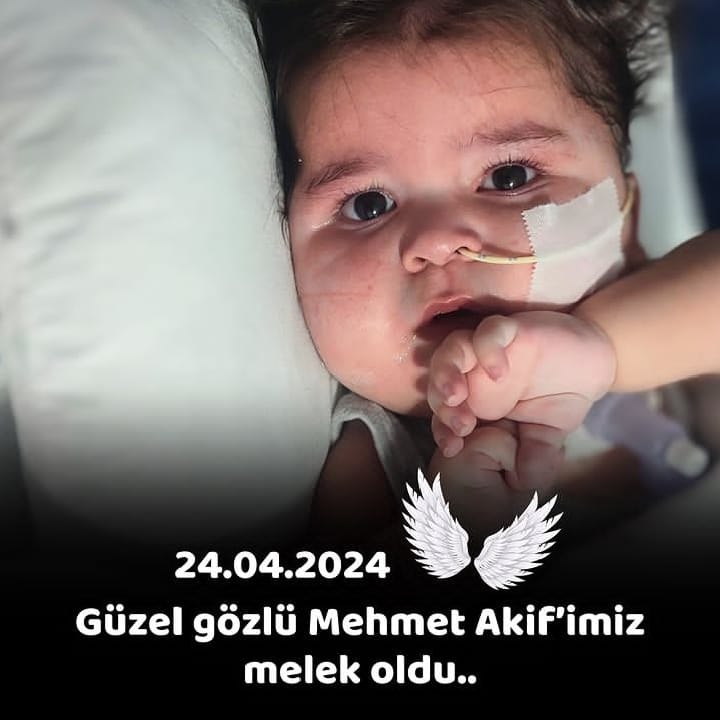 Sma bizden bir can daha aldı, bir ailemizin evine ateş düştü ne yazsak, ne söylesek fayda etmeyecek🥺 Sana da yetişemedik zeytin gözlüm .. 🥺🥺 Ailemizin ve gönüllerimizin başısağolsun 🤲