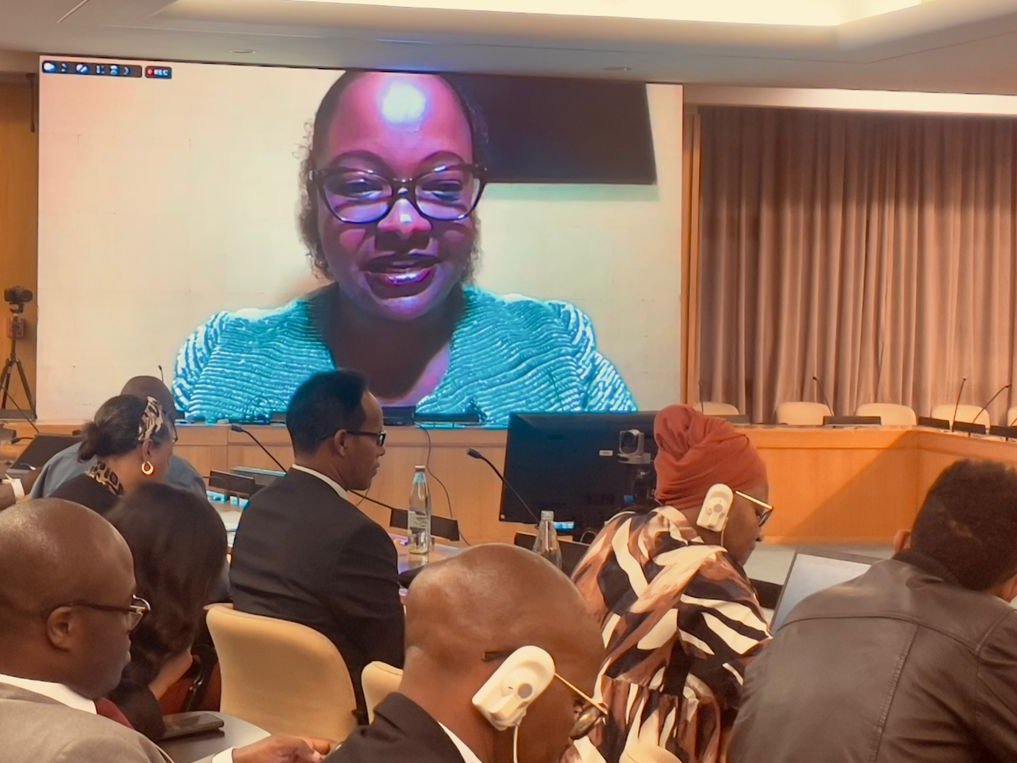 Caroline Kwamboka, a panelist at the  SDG 17 partnership during the 10th ARFSD, emphasizes the need for partnerships to recalibrate and integrate citizen voices and respond to African needs. 
#ARFSD10