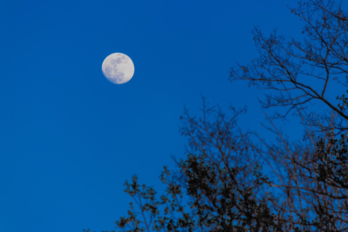 Day Moon #photograhpy #clevelandphotographer #ohiophotographer #nature #naturephotography #moon #daytime