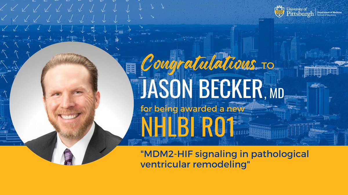 Congratulations to Dr. Jason Becker on his new @nih_nhlbi R01: 'MDM2-HIF signaling in pathological ventricular remodeling!' 🎉🎊🎉