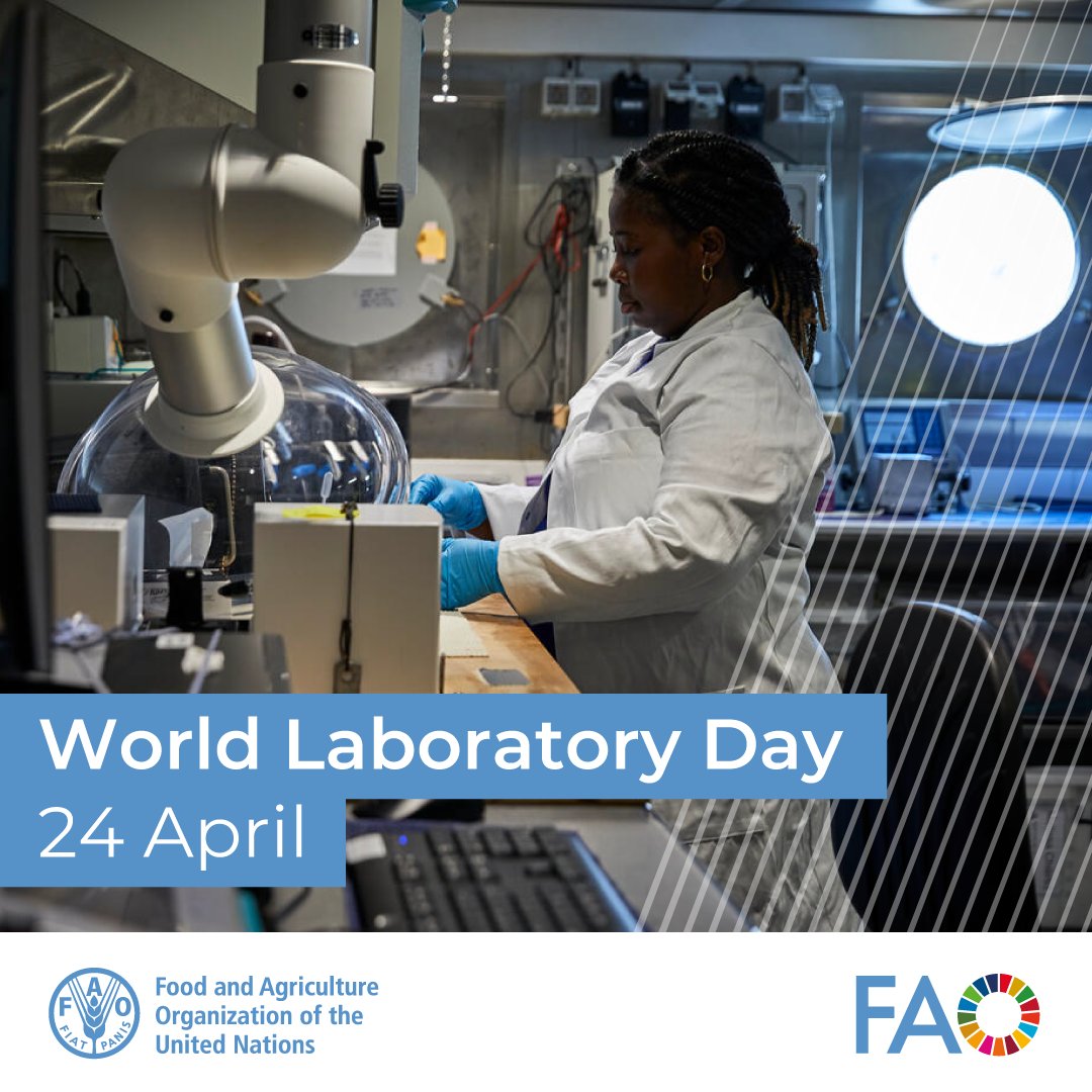 🧑‍🔬🌍Animal health laboratories are crucial in preserving both animal and human well-being worldwide. 🔬🧪Strengthening their diagnostic capacity boosts our ability to detect and respond to emerging threats swiftly and effectively. 👉bit.ly/44e7ANe #WorldLaboratoryDay