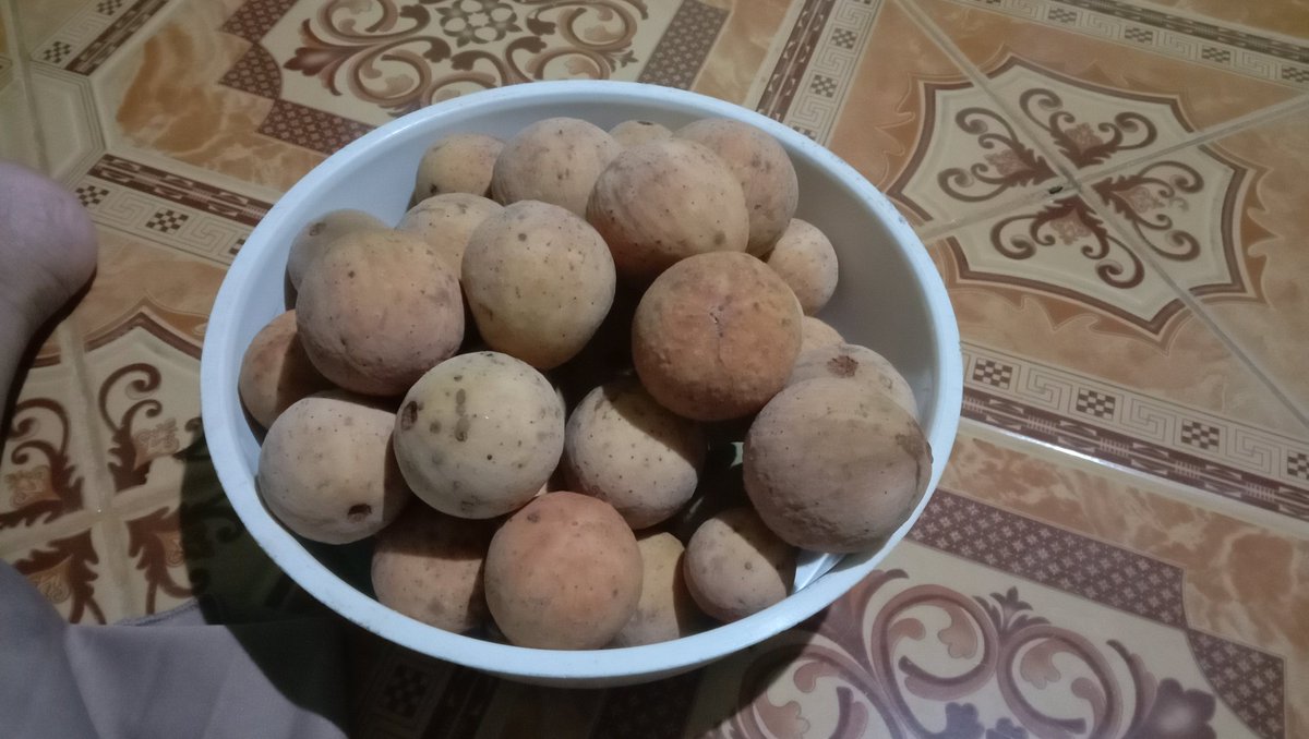 Ada yang tahu dengan buah ini?
Ada dana 50k

Sengaja malam2 ku foto biar gambar gak jelas😀
Besok pagi pagi aku undi