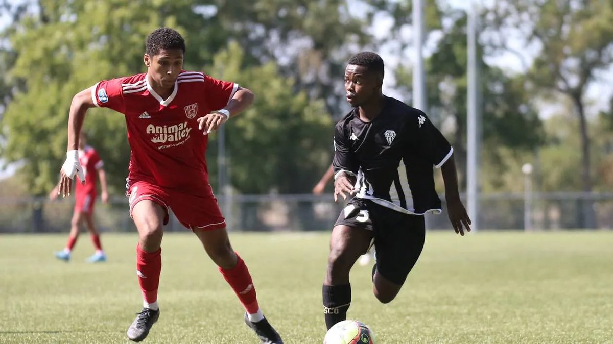 ❌ L’Angevin Loick Boana a refusé les Comores , lui qui a été contacté par la fédération comorienne 

🫱🏾‍🫲🏿 Son choix se porte sur le pays de son père : Madagascar 🇲🇬