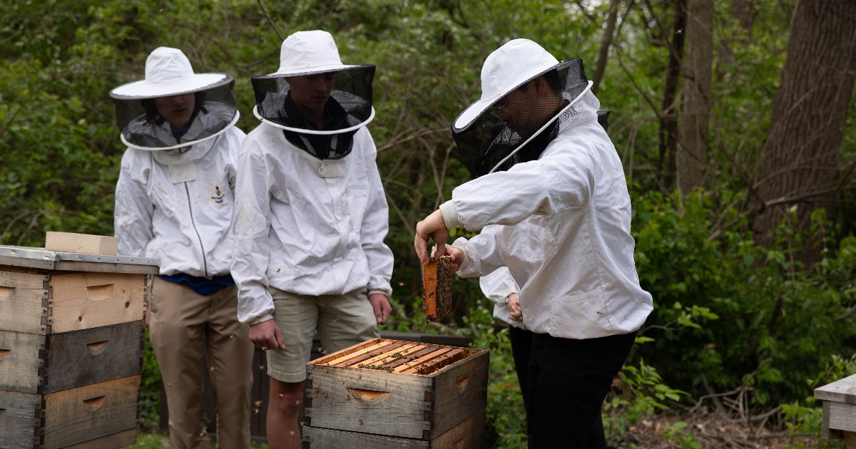 Yesterday, three beekeeping students conducted an inspection in our beehives on campus! Bees are vital pollinators that play a crucial role in our environment. Thank you to the students and Mrs. Meghan Van Sant for being leaders in an effort to protect our bees!