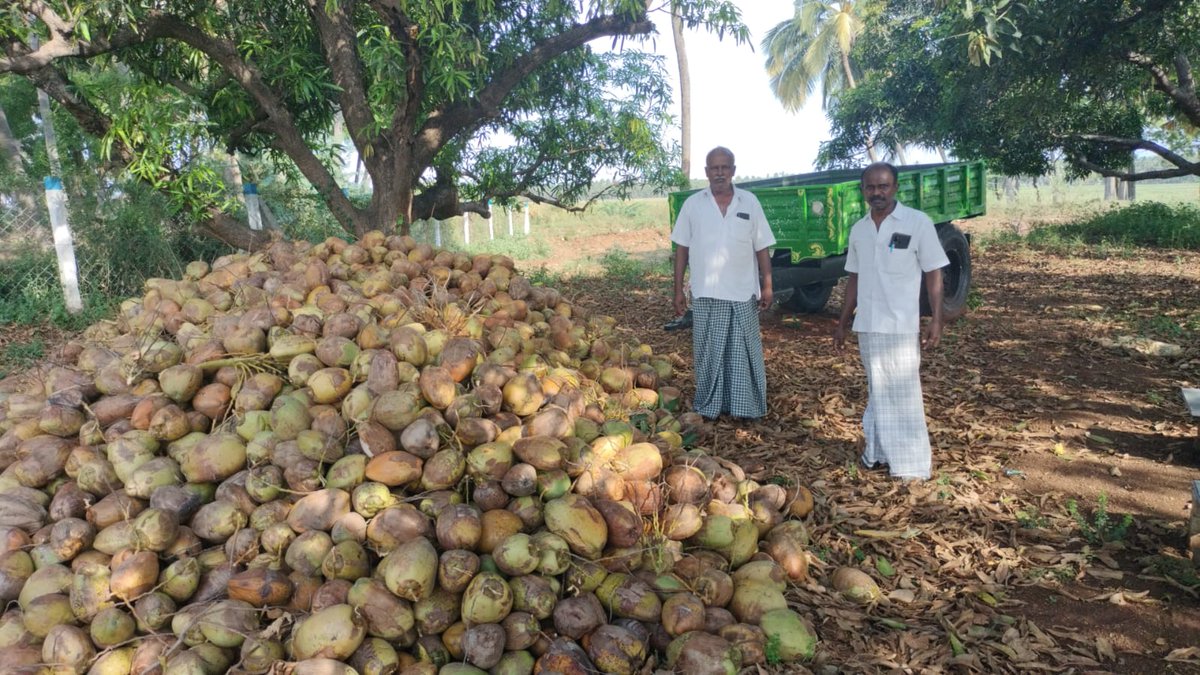 Agribusiness activities:
 Aggregation of coconuts for trading through eNAM in Chittar subbasin FPC by Department of agricultural marketing and agribusiness 
Posted by ABS MDPU