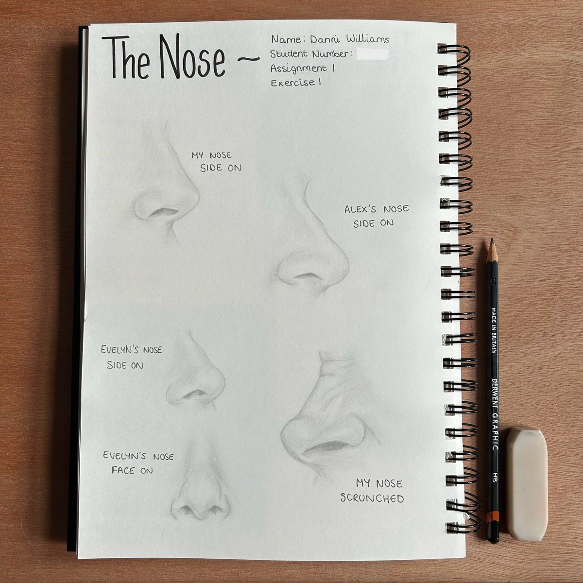 Preliminary sketches of the nose for my first exercise of my first college assignment👃🏻 Noses have always been one of the most difficult facial features for me. These studies have been super helpful and will be good practice moving forward. #artstudent #londonartcollege #arttwt