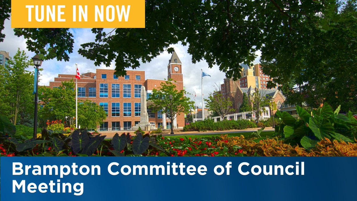 Today's #Brampton Committee of Council meeting is now live. Tune in now ▶️ 🔗: ow.ly/Q6Rb50R4j3h