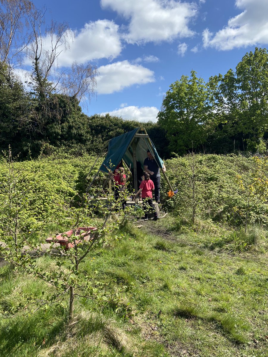 Fantastic problem solving in forest school today building WW2 shelters.Ds iawn Dosbarth Yr Wyddfa <a href="/MaesYMynydd/">Ysgol Maes Y Mynydd</a>