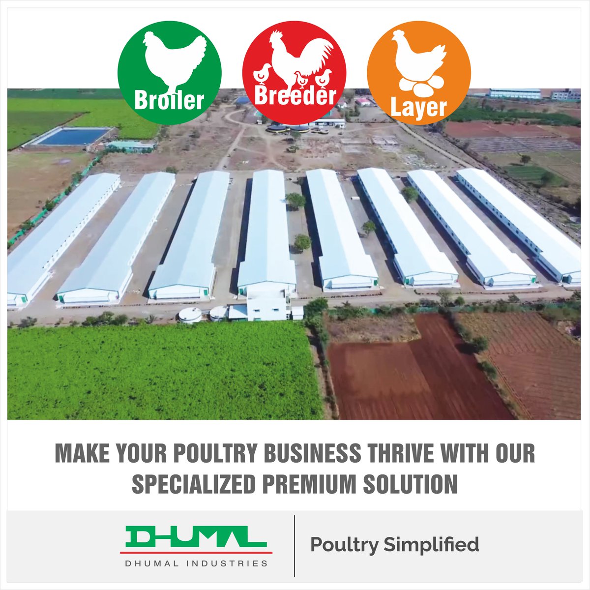 dhumalind's tweet photo. Elevate your poultry business with our exclusive premium solution!  Say goodbye to mediocrity and hello to success as we tailor our expertise to your needs. Don't settle for less when you can thrive with the best! Contact us now to unlock your poultry business's full potential. https://t.co/qJBlXB2Gzq