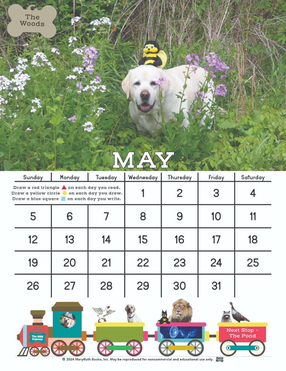 MaryRuth Books (@maryruthbooks) on Twitter photo 