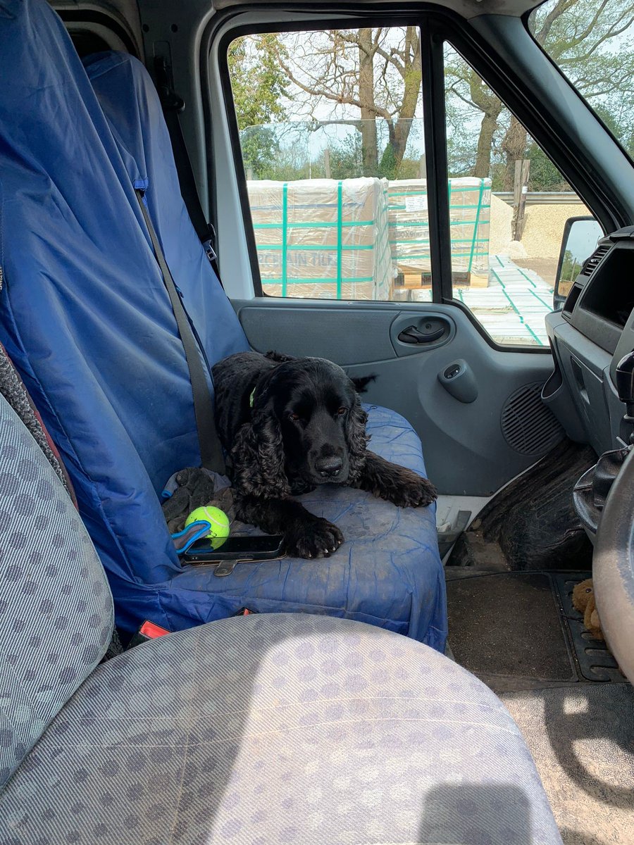 Dog of the Week... We were very happy to welcome Poppy of KDM Landscaping & Groundwork’s to the depot last week. What a lovely little lady she is! 
.
.
.
#dogoftheweek #bringyourpetstowork #puppylove #companywhilstyouwork