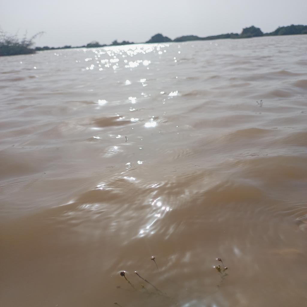 #صورة_ملف_شخصي_جديدة