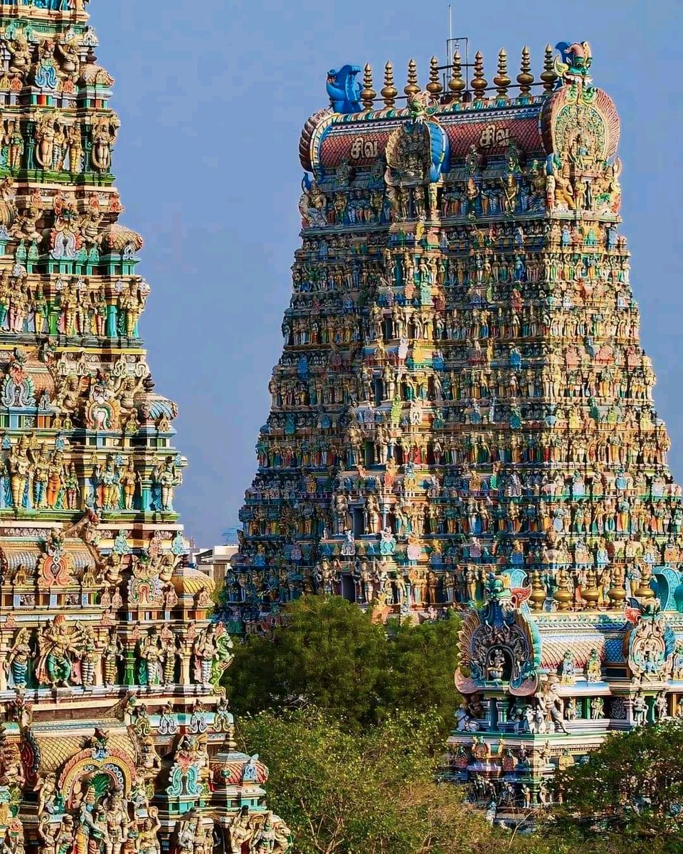 Best View of Minakshi Temple Madurai Tamilnadu, India 🇮🇳📸💚
.
#india #visitindia #indiatourism #indiatrip #travel #photography #artandall #architecture #generalknowledge #gk #exam360