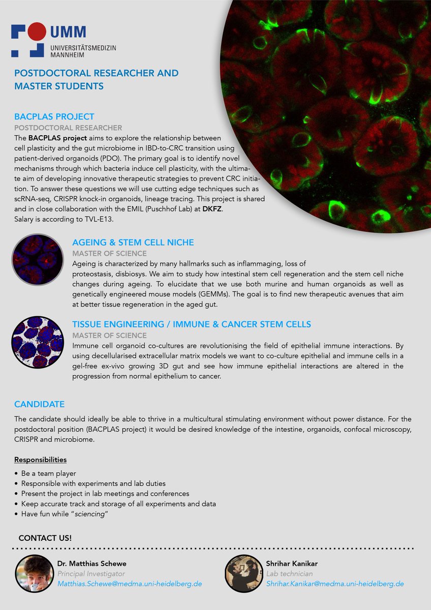 Matthias Schewe (@matthias_schewe) on Twitter photo Dear Tweeps, the Schewe lab is looking for new colleagues at multiple levels!! For the postdoctoral position in the project shared with <a href="/JensPuschhof/">Jens Puschhof</a> please apply until the 7th May. We are excited to welcome you! Please RT. Dear Tweeps, the Schewe lab is looking for new colleagues at multiple levels!! For the postdoctoral position in the project shared with <a href="/JensPuschhof/">Jens Puschhof</a> please apply until the 7th May. We are excited to welcome you! Please RT.
