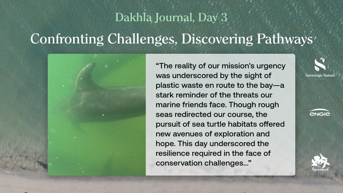 Dakhla Bay Diaries 🌊🐋 On Day 3, our resolve is tested by plastic pollution, yet our mission presses on with @ENGIEgroup's support. See how we adapt our strategies to protect marine life. Join us as we overcome challenges for a cleaner ocean. What solutions will we find?…
