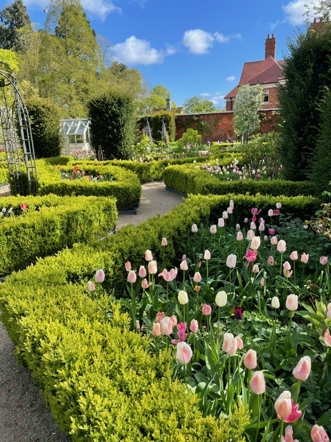 🌷 Come and tiptoe through the tulips with us! 📷 Westbrooke House 📍 Little Bowden 📅 Sunday, 28th April 🔗 findagarden.ngs.org.uk/garden/33830/w…