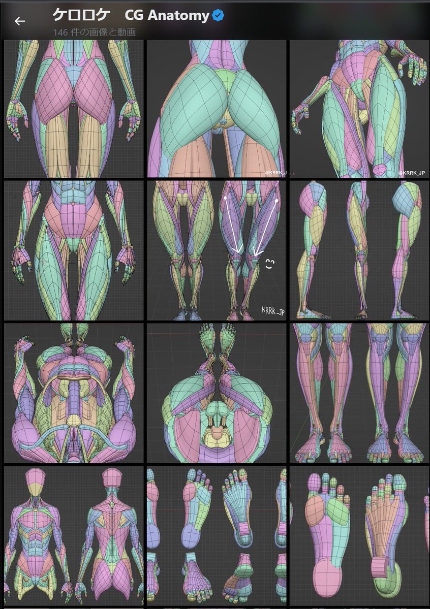 ケロロケ　CG Anatomy tweet media