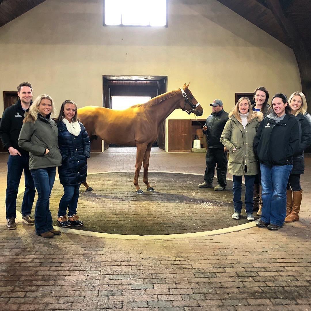 Equine Analysis tweet media