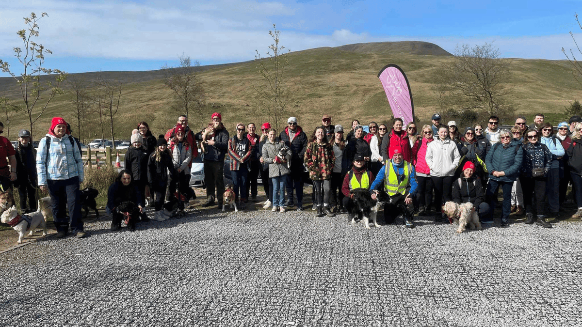 What a great turnout for Hope Rescue’s Pen-y-fan walk The weather was kind as we made our way to the summit, with amazing views. Thank you to all of the walkers (human and canine), volunteers, staff, and everyone who donated. You can read more here 👉hoperescue.org.uk/blog/pen-y-fan…
