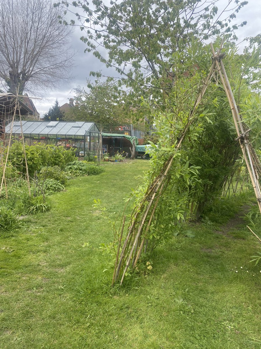 joinupthedots's tweet photo. It’s #GreenerAHP week &amp; AHPs @NHSHomerton have been finding out about local community organisations that support the green agenda- like @H_SchoolofFood supporting access to growing, cooking &amp;eating healthy food for all.  @powerupcandh @AcuteHomerton @acrt_homerton @HARKPhysio https://t.co/boa48xZpAH