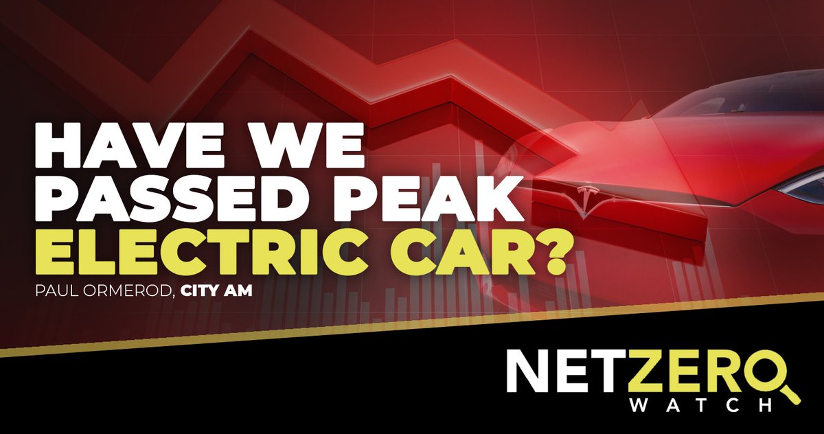 Electric cars have not become better or cheaper fast enough, and without rapid improvements the market will run out of road, says @OrmerodPaul, 'If the initial group of enthusiasts fails to reach a critical size, the product simply does not spread amongst the rest of the…