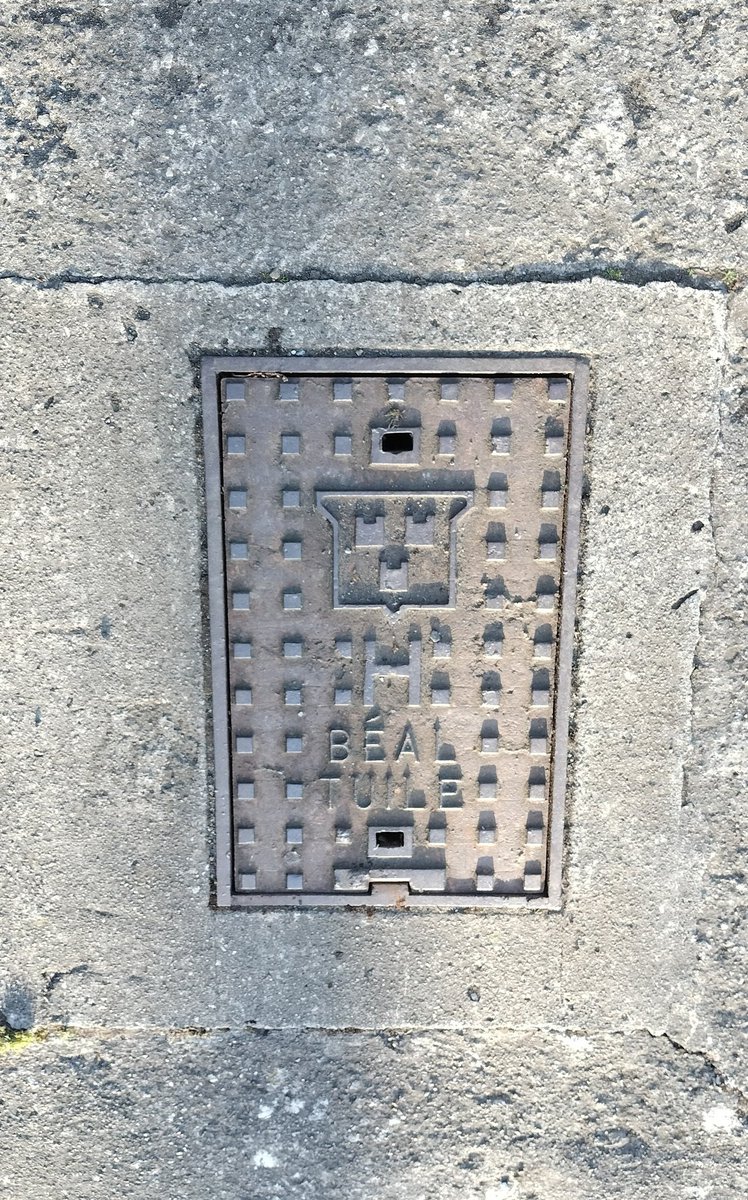 Ancient custard cream preserved in stone on the streets of Dublin. Whoever releases it gets to be Lord Mayor.