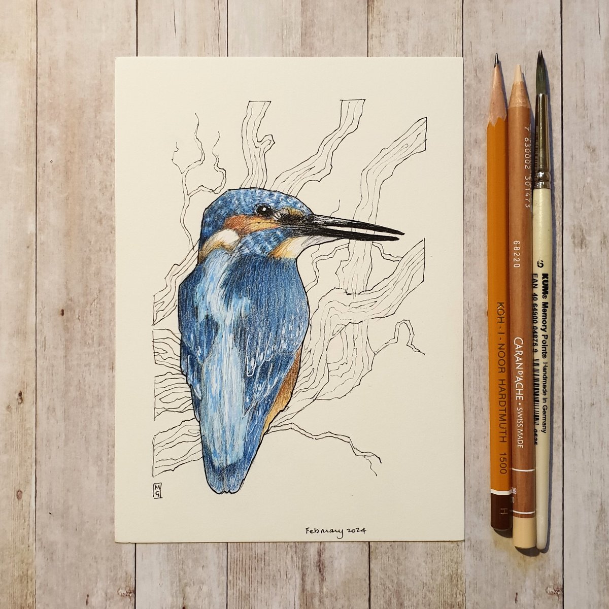 The kingfisher is widespread in the UK but is absent from northern Scotland. It is active all year round near rivers, canals and wetlands.
My drawing is available...
theweeowlart.etsy.com/listing/168250…
#kingfisher #BirdArt  #OriginalArt #drawing #PenAndInk #ColourPencil  #TraditionalArt