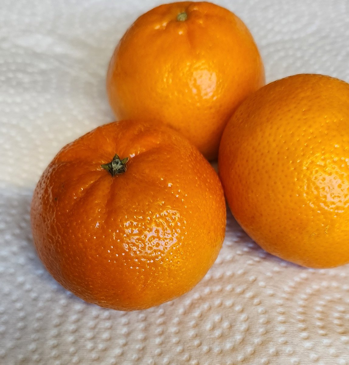 Good Morning Resister. I'm on break eating some tangerines. I hope you guys have a beautiful day.