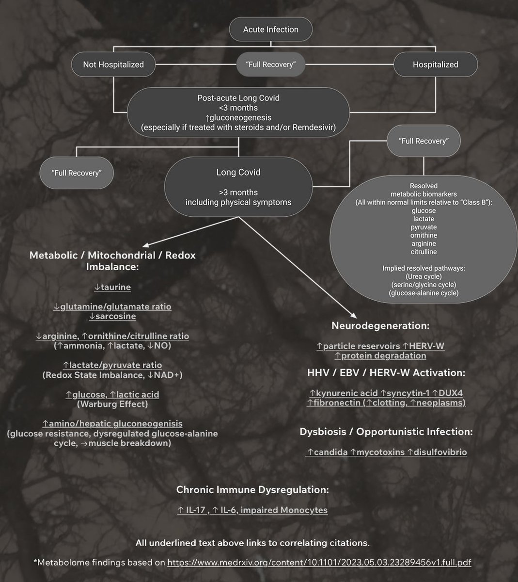 I made a flow chart in early '23 based off a metabolomics paper that presented Long Covid as a disease of prolonged human metabolic reprogramming and dysregulation(prolonged gluconeogenesis). These are objective findings that indicate persistent HMRD in those who do not recover.
