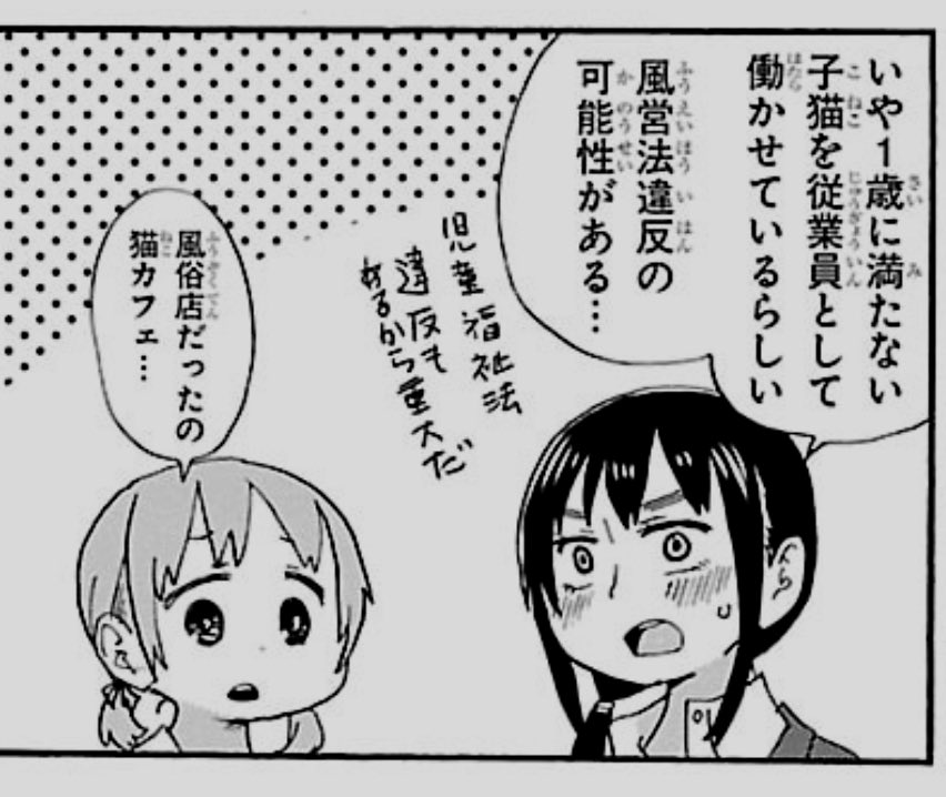 猫カフェとは風俗店とみつけたり #ロロッロ 