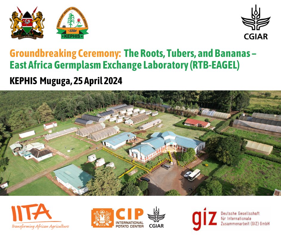 #GroundBreaking: The RTB-EAGEL aims to provide services such as #pathogen diagnostics, virus-elimination, in vitro, and #germplasm exchange services as well as a platform for #Roots, #Tubers, and #Bananas (RTB) research, and knowledge sharing on a regional basis.

#RTBEAGEL #Lab