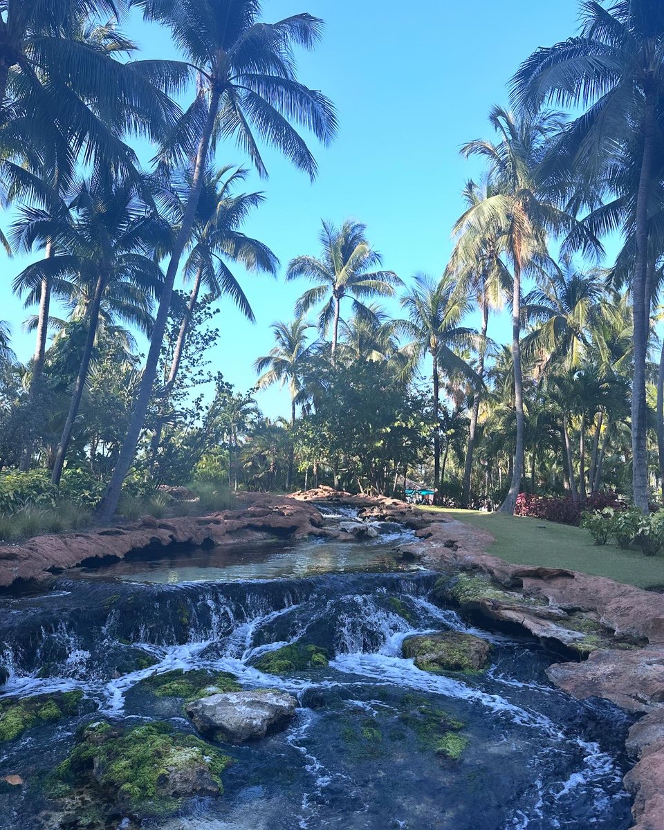 Kendra Middleton tweet media