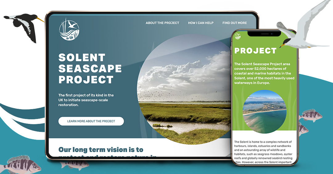 Take a look at the new Solent Seascape Project website 🎉 Head to the website and join our journey over the next few years as we work with our partners and community to restore the Solent seascape to health. 🌱🌊 You can dive in here: solentseascape.com