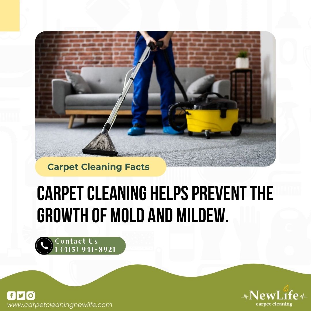 Regular cleaning is essential to prevent moisture buildup in carpets, which can lead to mold and mildew growth. 🧼 #CarpetCare #MoldPrevention #HealthyHome . Visit - carpetcleaningnewlife.com  Call Now 1 (415) 941-8921