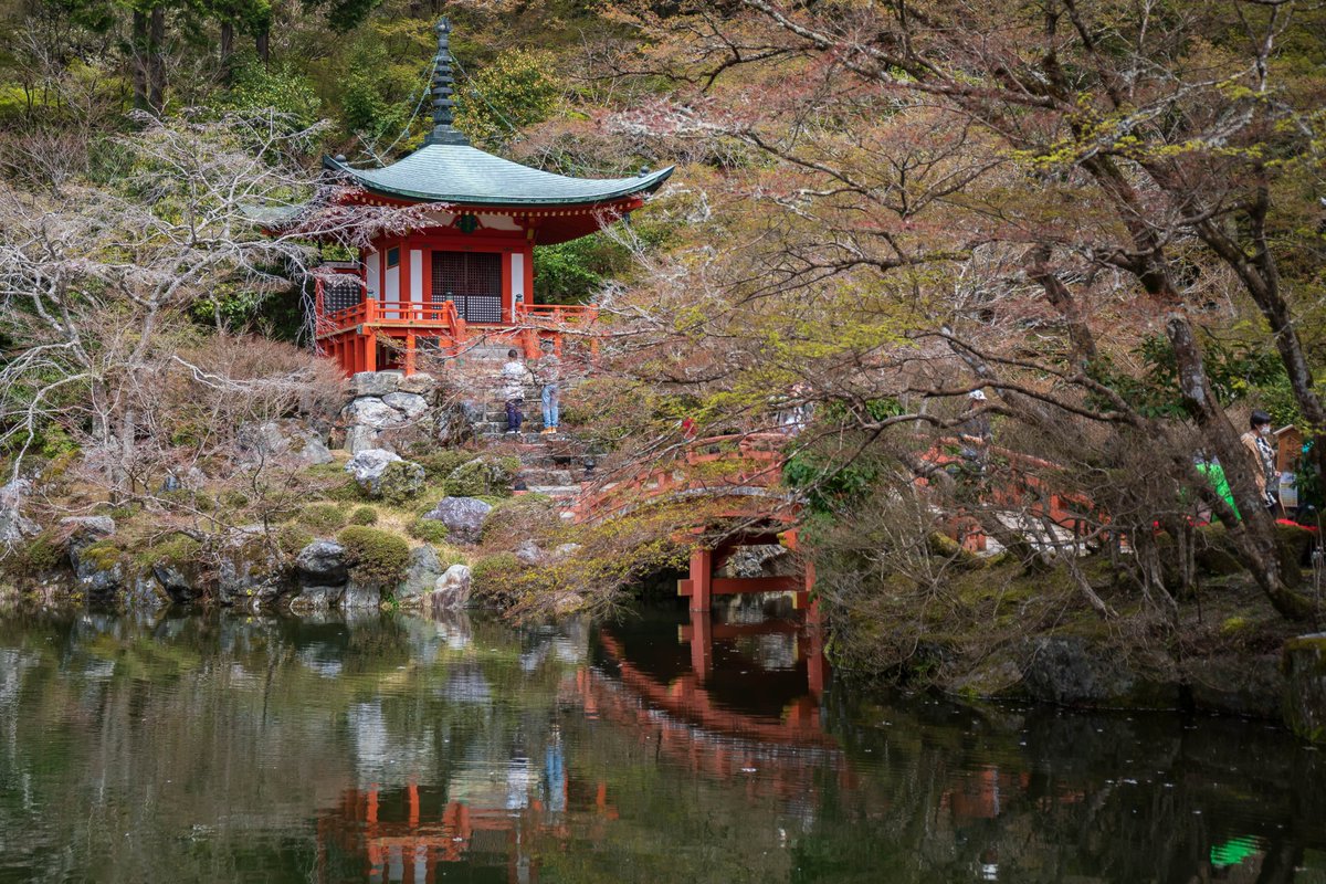 Every22theShop's tweet photo. 【フォト】
#醍醐寺
#日本 #京都 #伏見
#旅行 #散歩 #参拝
#建物 #伽藍 (がらん) #弁天堂
#弁天池
#桜

撮影した日：2024年4月6日

#ongooglemaps #letsguide #googlelocalguides https://t.co/CXpHRTI4Eb