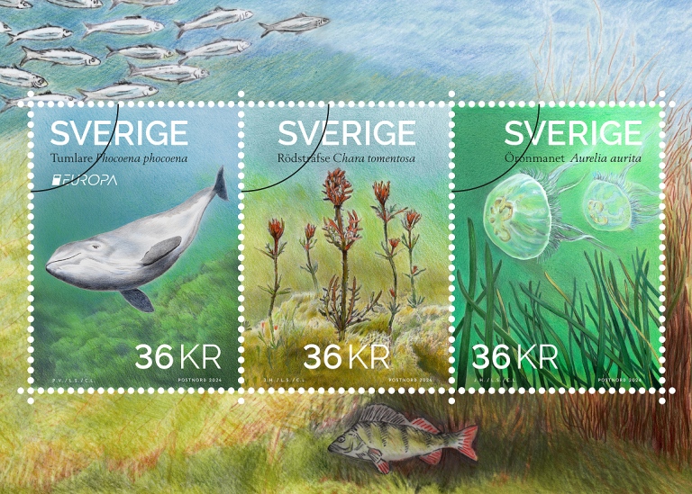 Den europeiska frimärksutgivningen har i år temat ”undervattensfauna och -flora” och @PostNordSverige ger ut tre nya frimärken med Östersjöarter som motiv. @ostersjocentrum har varit med i urvalet av arter och formgivare är Carina Länk. #Östersjön #BalticSea #Flora #Fauna