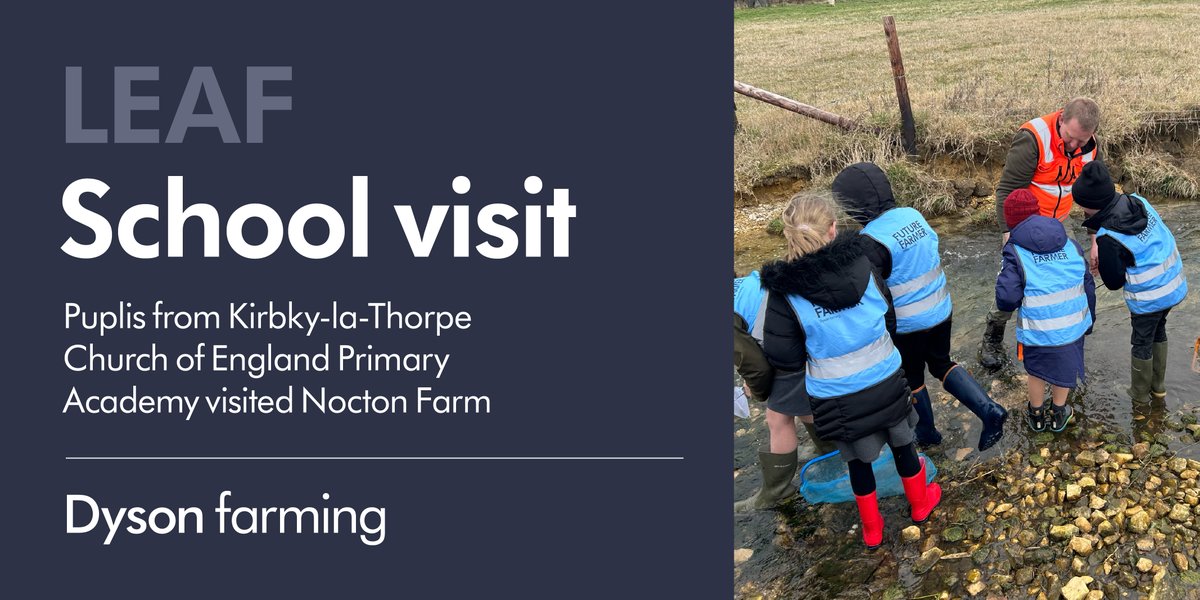 We welcomed Kirkby-la-Thorpe Church of England Primary School to Nocton Farm a few weeks ago with @LEAF_Education. The day involved a look around the farm, including the potato store, a scavenger hunt in Nocton Wood and pond dipping at Dunston Beck. #schoolvisit #lincolnshire