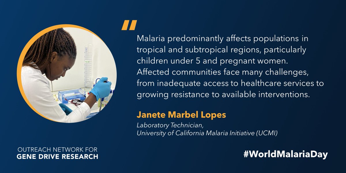 Young children and pregnant women are particularly vulnerable to #malaria. 🦟

For #WorldMalariaDay, Janete Marbel Lopes tells us about her work at the University of California Malaria Initiative (UCMI), in São Tomé and Príncipe (STP)👉 bit.ly/3Jl9XnU

#SheFightsMalaria