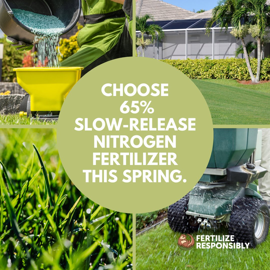 Slow-release nitrogen ensures your grass gets nutrients over time, reducing the need for frequent applications. Let’s be stewards of our beautiful environment! Learn more about reading fertilizer bag labels at ocfl.net/FertilizeRespo… 🌿#FertilizeResponsibly