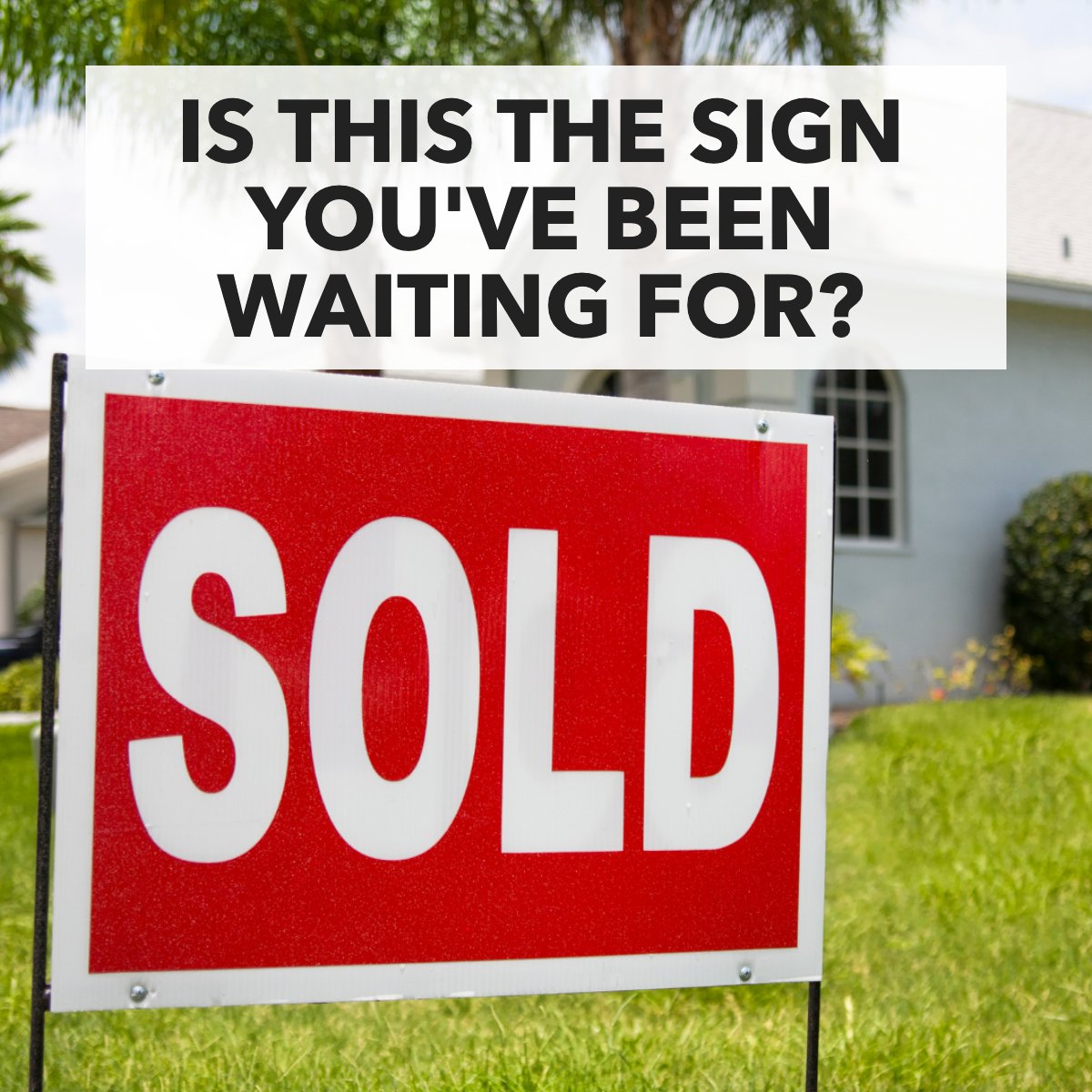 Is this the sign you've been waiting for? 🤔

We love to see it!

#sold #soldsign #lawnsign #seller #realestate #realestateagent
 #homesales