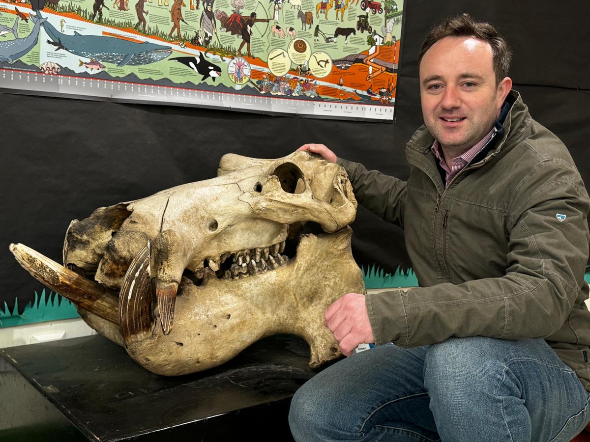 Last time I was at @Marwellwildlife Zoo it was to treat a zebra as an emergency out of hours, so it was brilliant to pop in this week for a relaxed look around their fantastic educational centre. What type of animal do you think this skull belongs to??