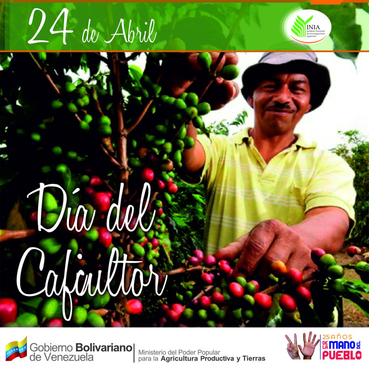 #Efeméride | Día del Caficultor Hoy #24abr, rendimos homenaje a los trabajadores y trabajadoras del campo venezolano que se dedican a producir el grano de café. @nicolasmaduro @wcastropsuv @minagriculturave . . . #SembrandoPatria