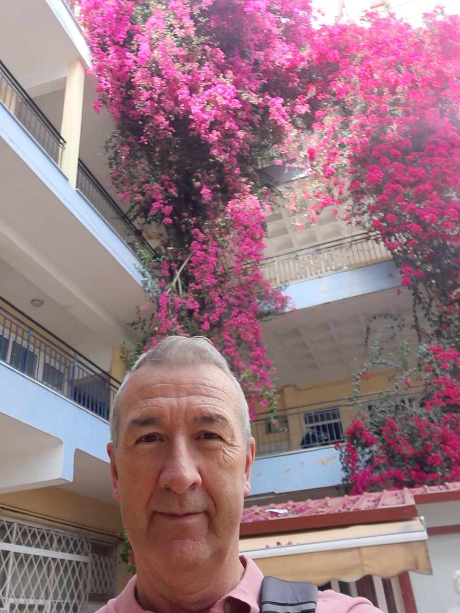 When the beautiful Bougainvillea flowers make #ErasmusPlus projects so much more #sustainable #holistic and #Connected. #Athens is blooming and so is @AstronomineEU & #creativity in Themistokolis School. @DrumcondraESC @Leargas @LfE_EUProject @ai4_edu @DublinWestEC Follow us..