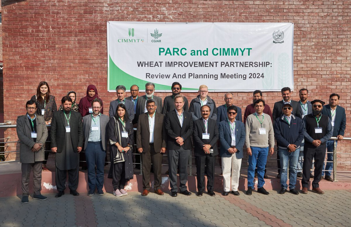 Recently, @CIMMYT Global #Wheat Program scientists visited National Agricultural Research Systems-NARS partners in🇵🇰🇳🇵🇮🇳. An opportunity to enhance collaborations that will strengthen our joint impact on wheat farmers & consumers. #Recap: bit.ly/4aNoVzc