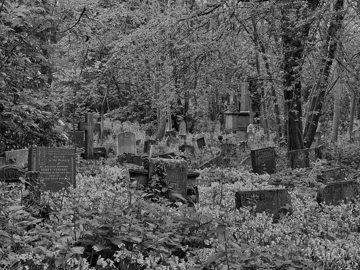 A graveyard at tower hamlets cemetery park. #creepy #unusual #StormHour #ThePhotoHour