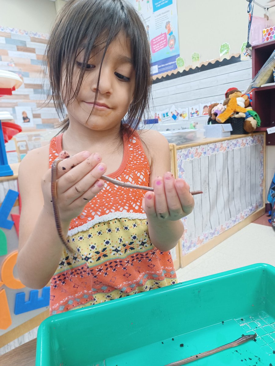 heykellicombs's tweet image. What's the best way to learn about earthworms? Play with them, of course! @NISD_ECE @NISDLeonSprings