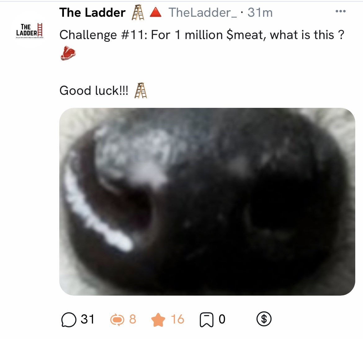 The Ladder 🪜🔺 tweet media